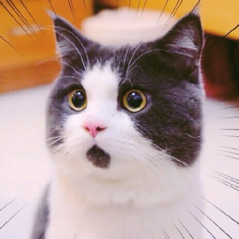 秋鮭