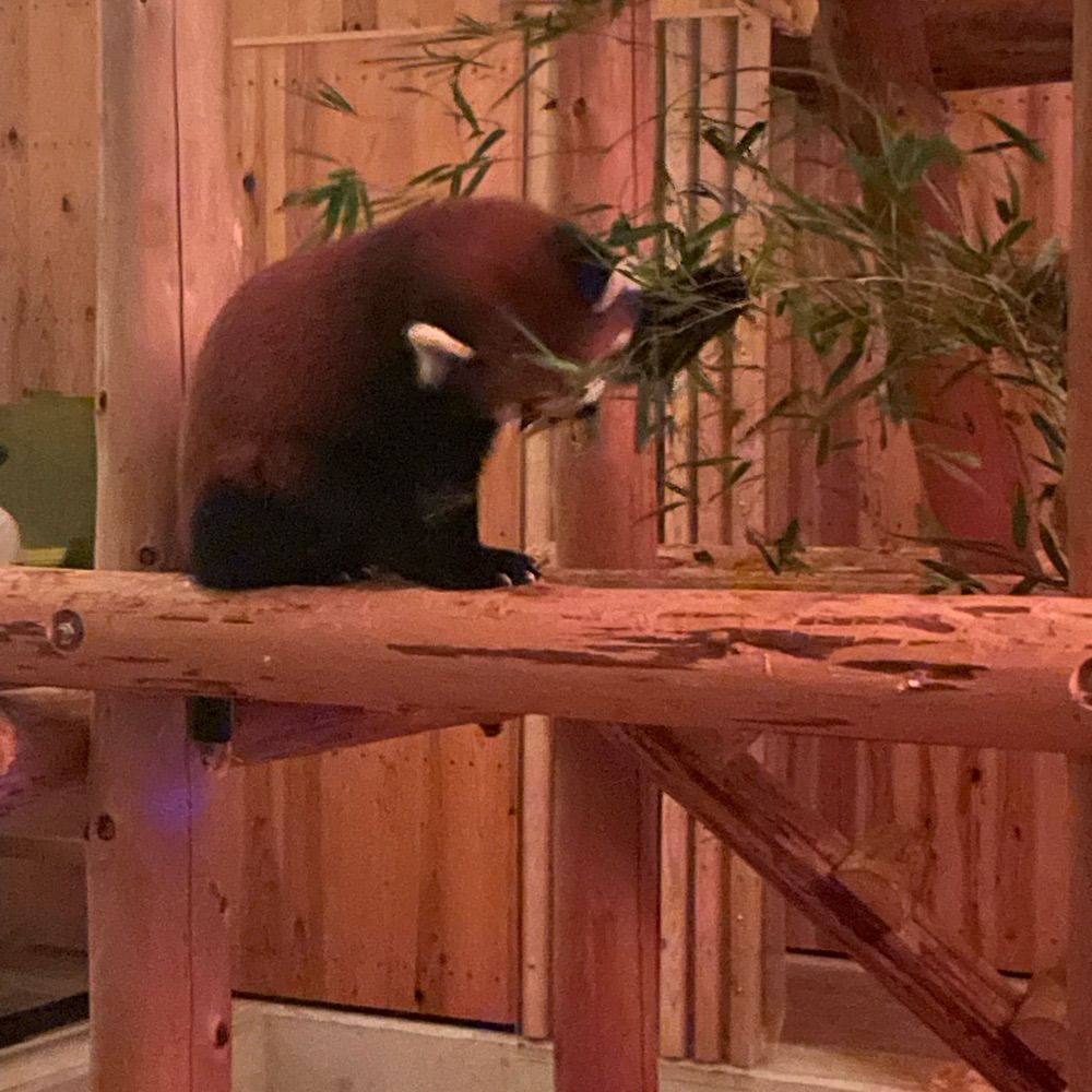 ごえもん