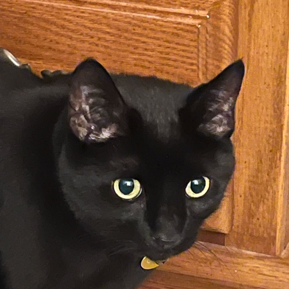 ras
