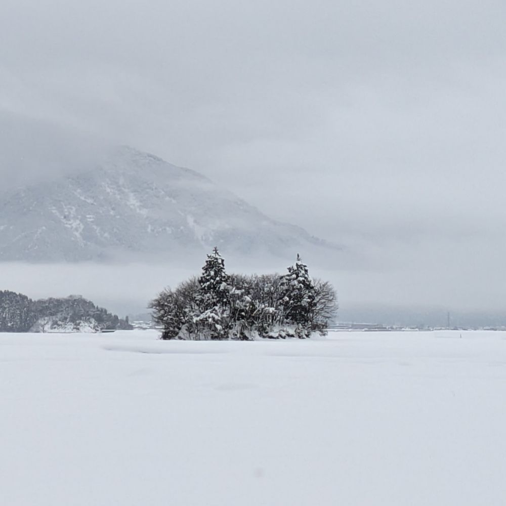 大野の民泊宿ねこばやし