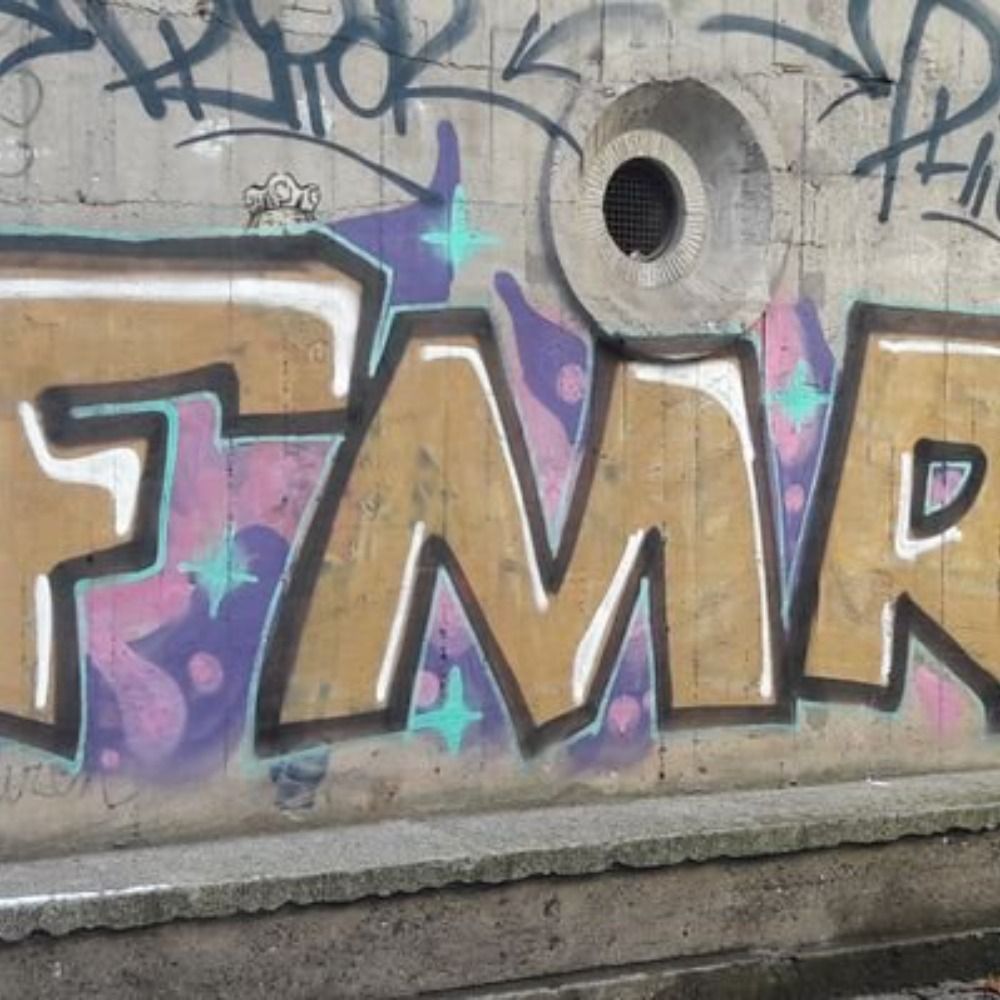 FORUM MENSCHENRECHTE 
