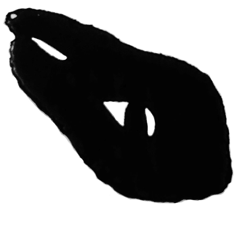 Noir Rabbit