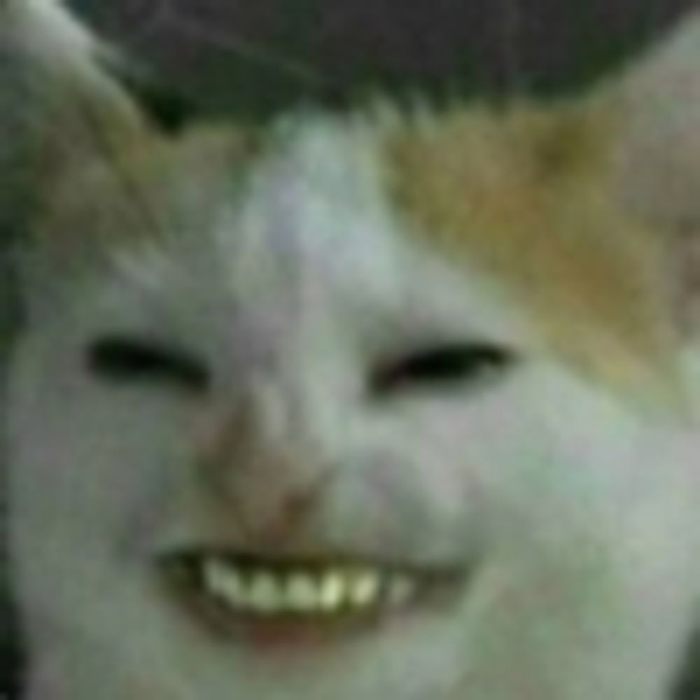 alcocyn