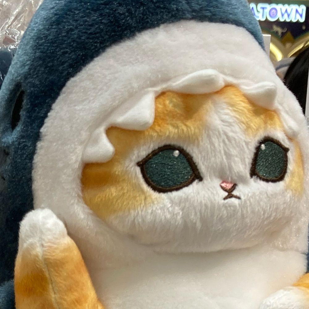 まこ