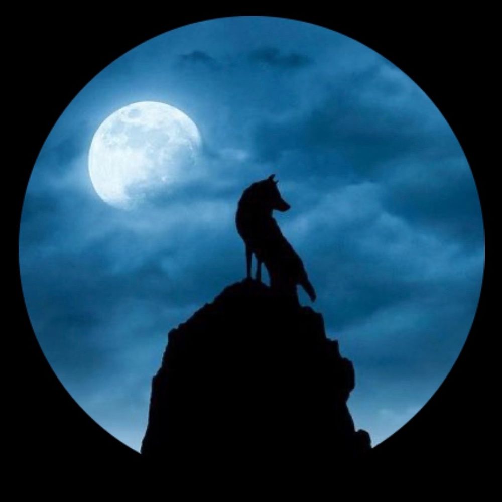 AMwolfhunter