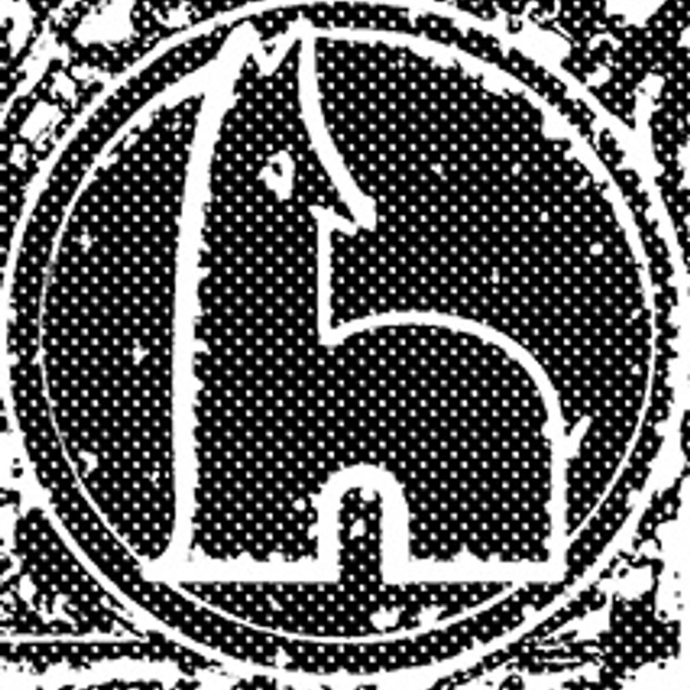 HOWLER Co.