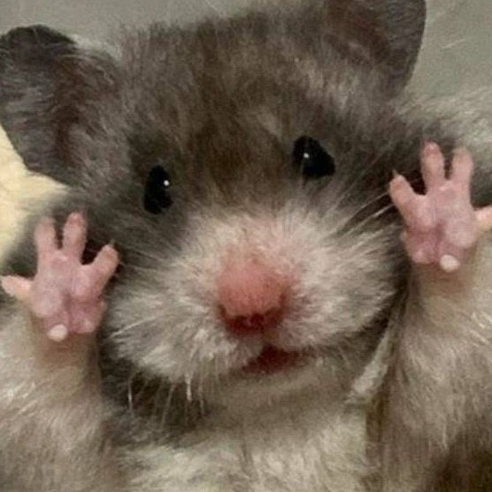 𝐿ukey