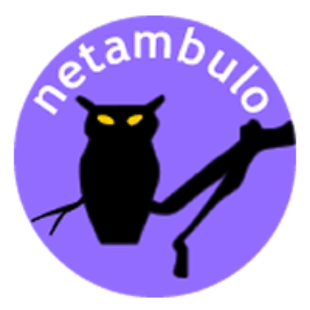 Netámbulo
