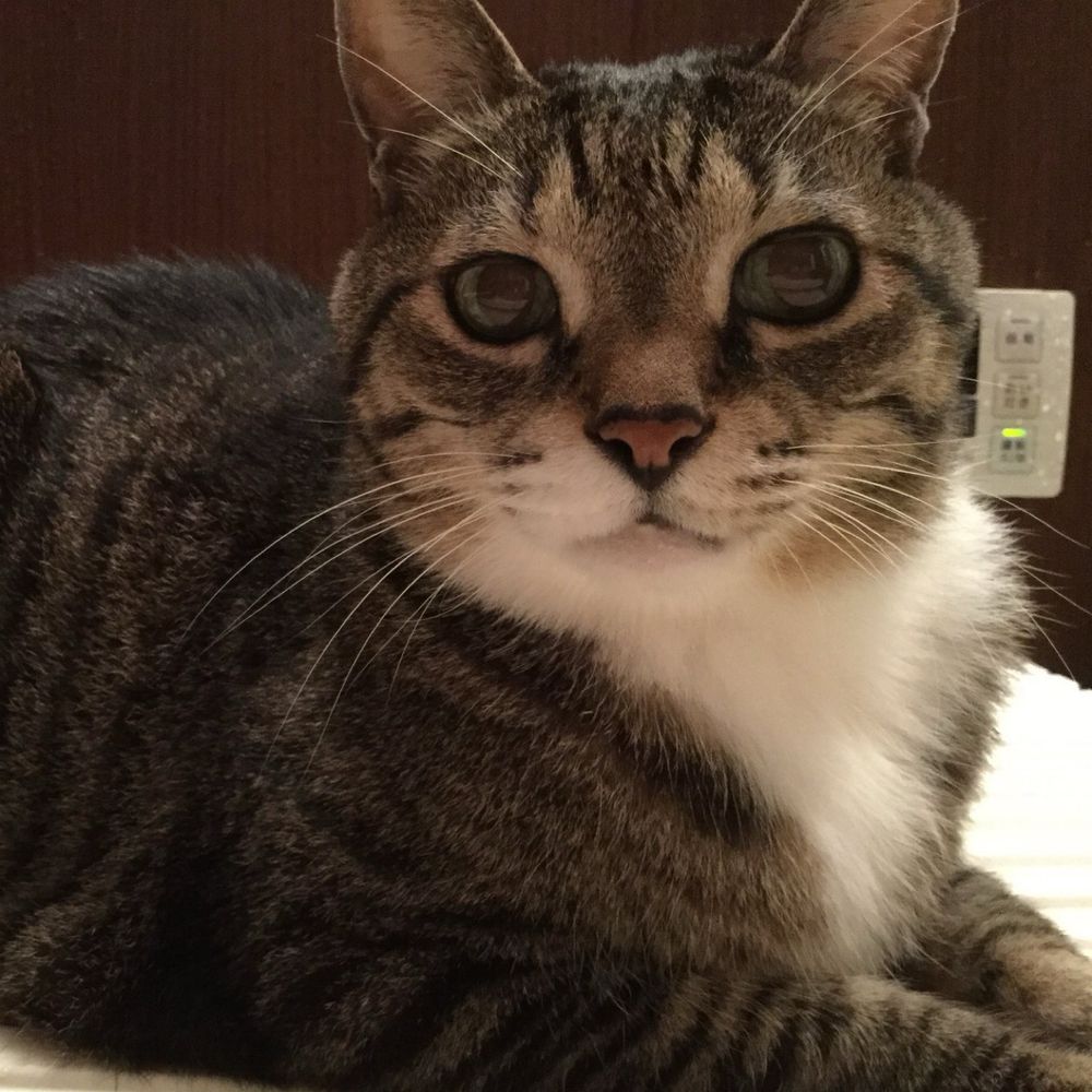 かおるん