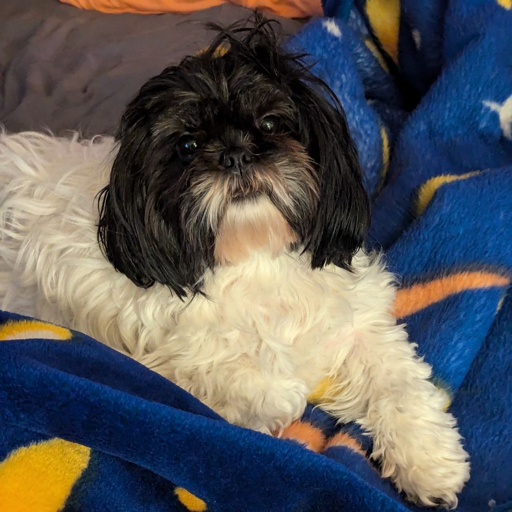 elizabethbeckett2.bsky.social