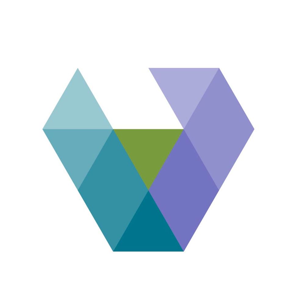 The Vallee Foundation