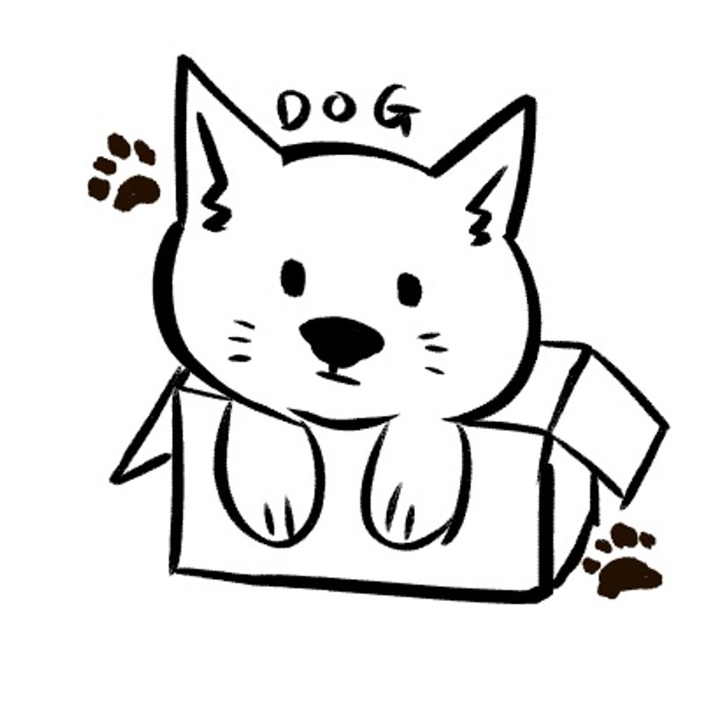 はこいぬ