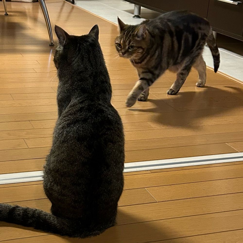 ろぐいん