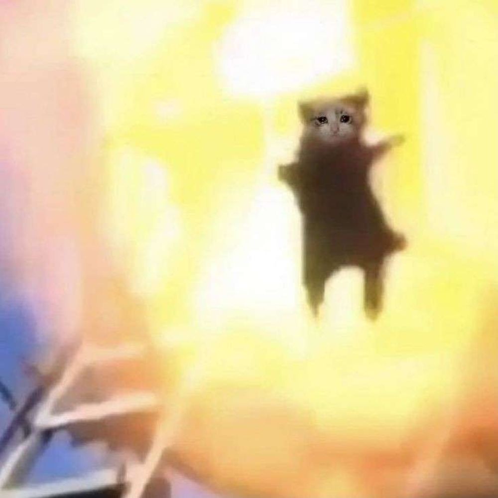 *:･ﾟ bibi ꒰ঌ ૮ • ﻌ - ა ໒꒱ *:･ﾟ