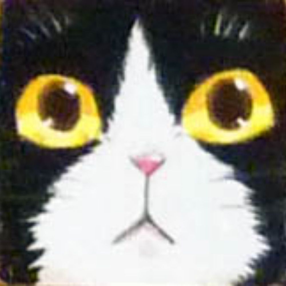 ねこ×はん
