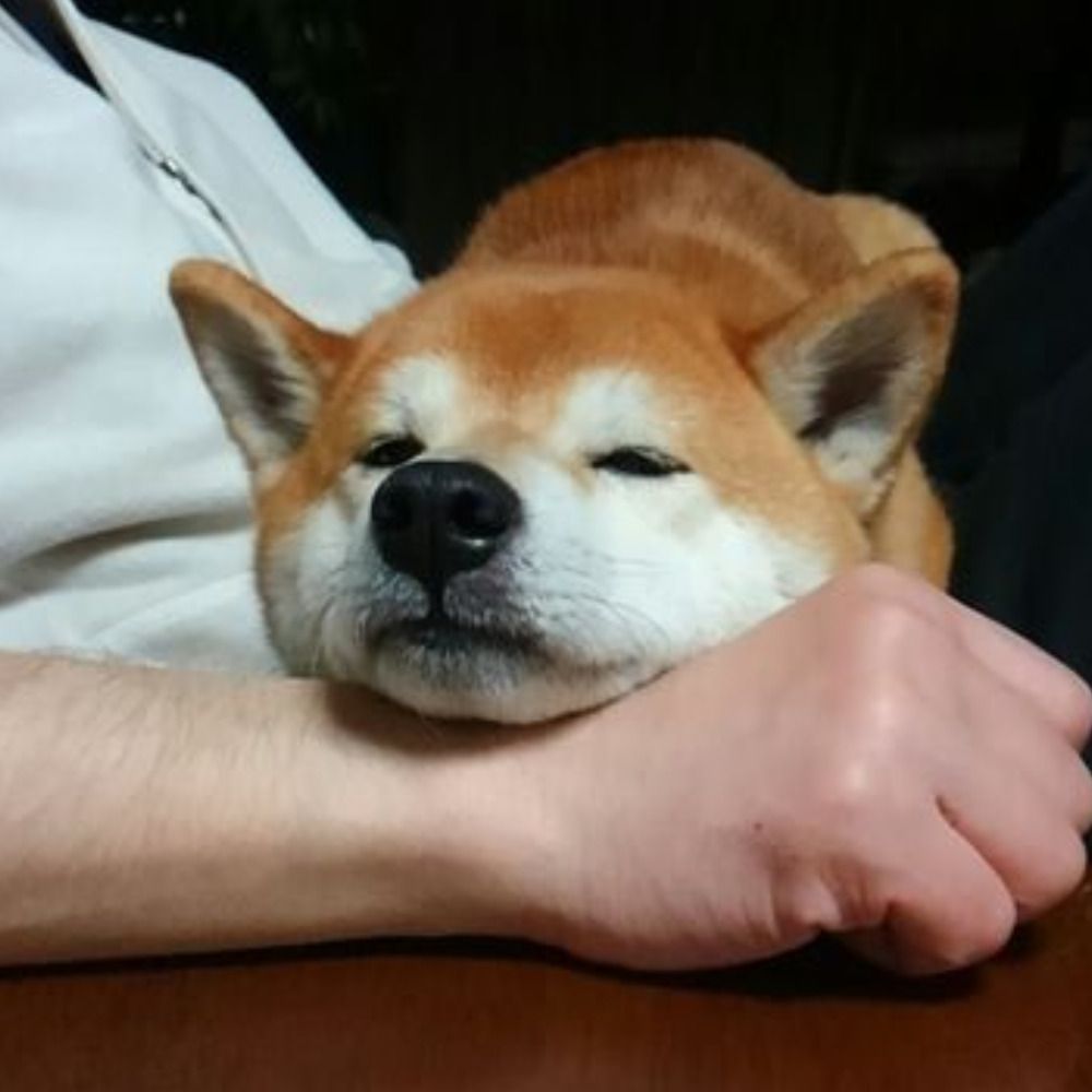 ちょっぷ