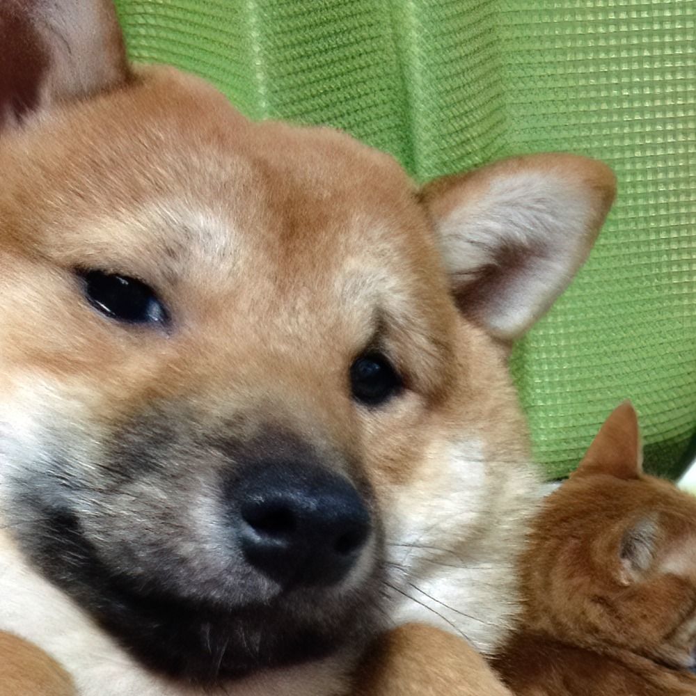 小鉄
