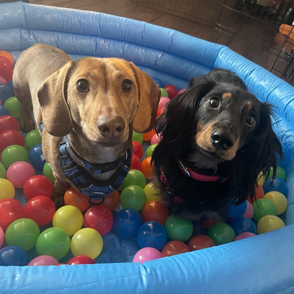 Oscar & Ginsburg