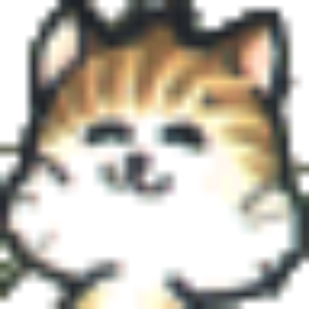 13号（アルカディア）