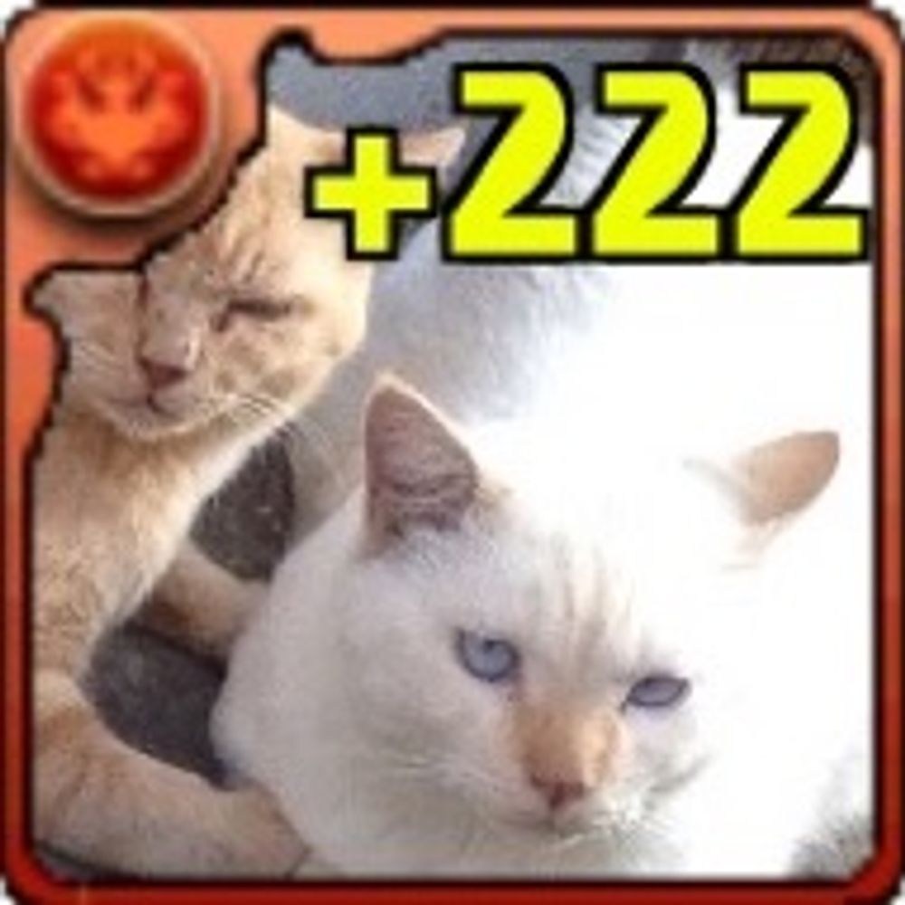 んさ