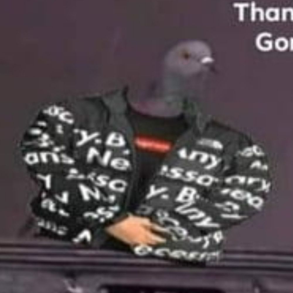 a very cool bird