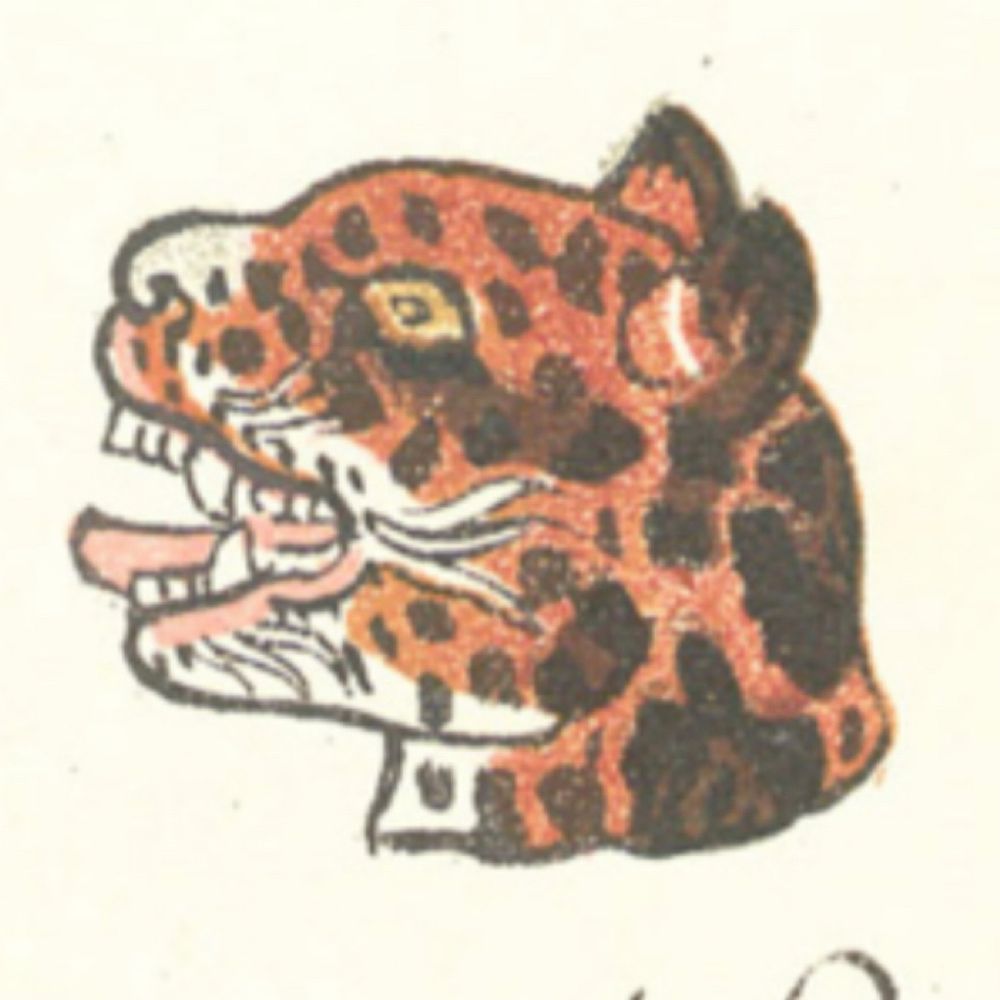 Ocelotl 