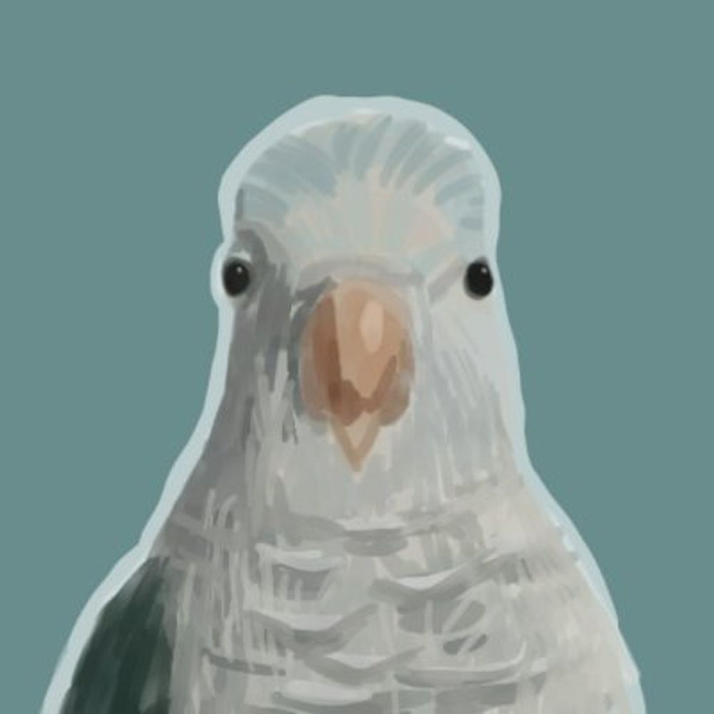 birb 