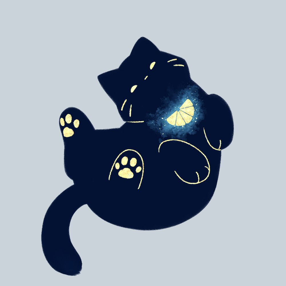 🐈‍⬛