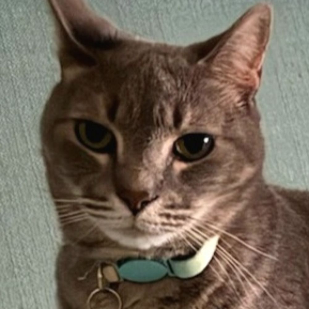 ray