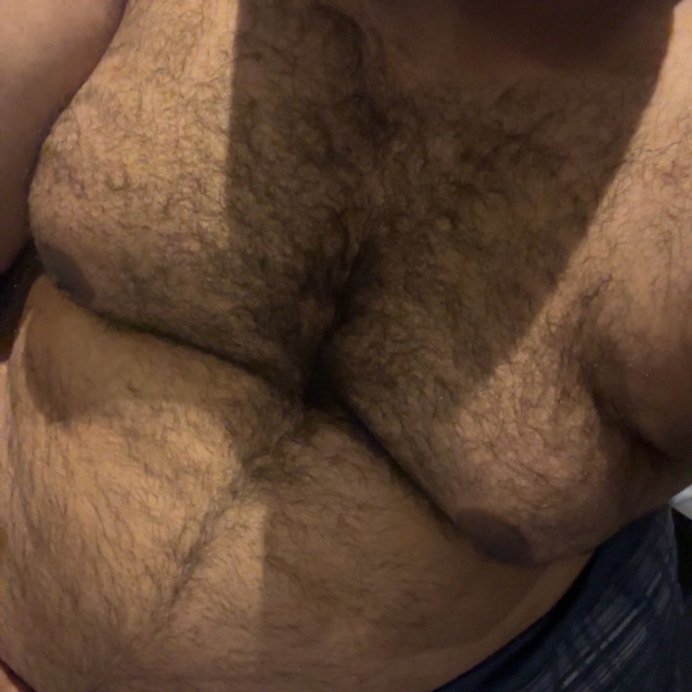 Simba the bear