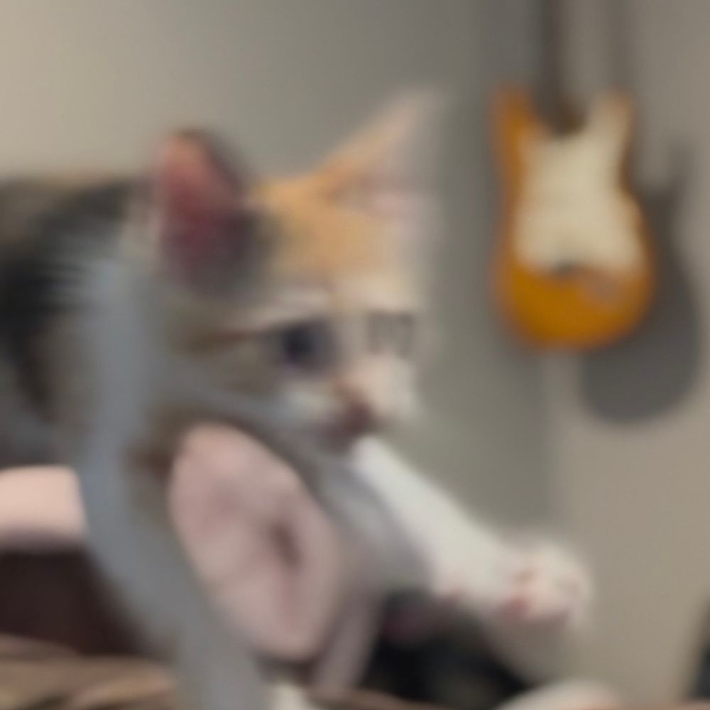 meo