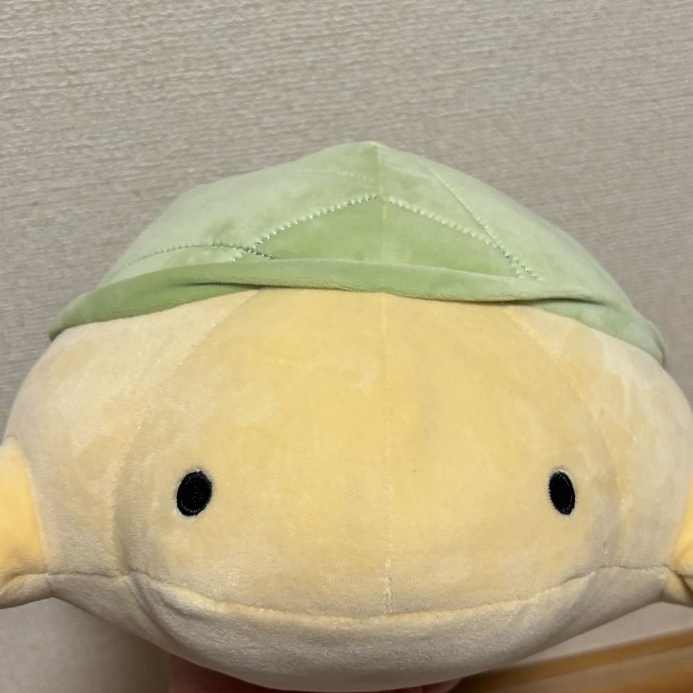 シイカ🌱🐱