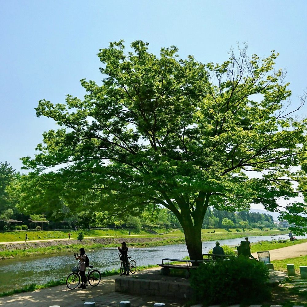 あさやん⭐︎