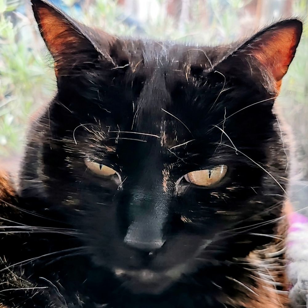 Xena's mate