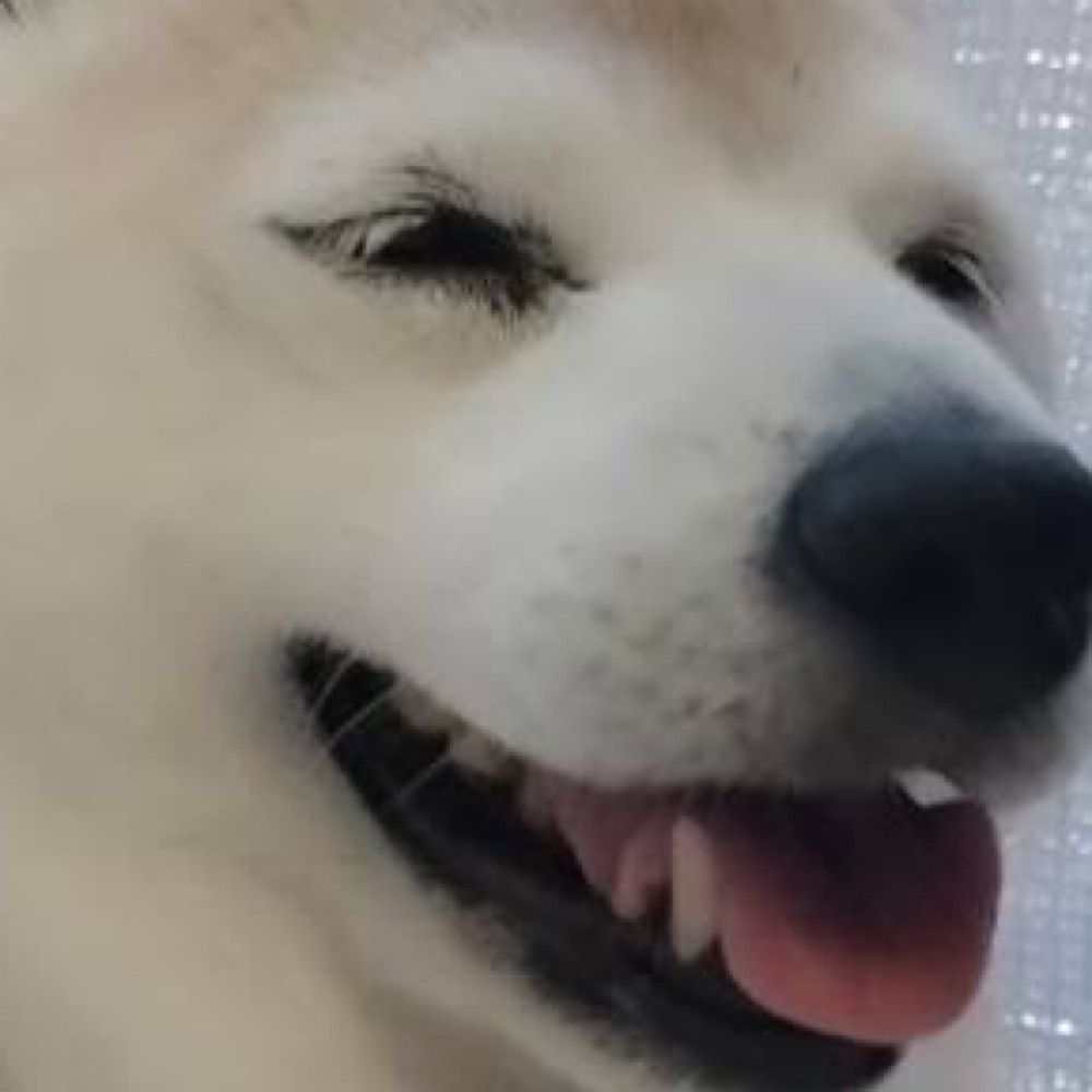 Dogeza