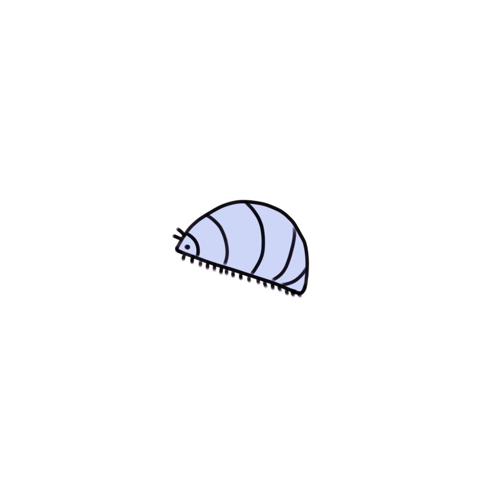 深夜限定