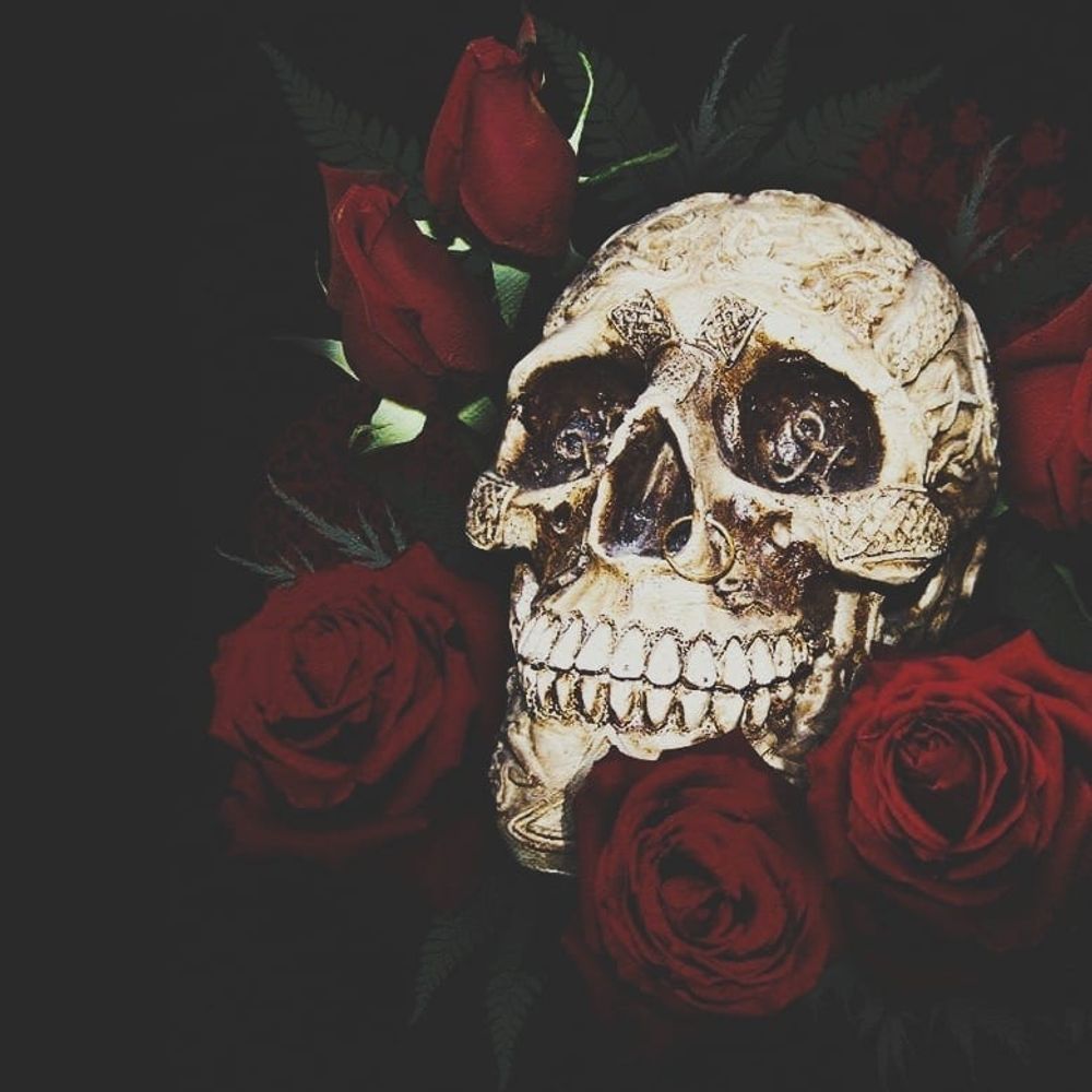 𝑬𝒎𝒆𝒓𝒊𝒄 - 𝑩𝒍𝒂𝒄𝒌𝒔𝒖𝒎𝒎𝒆𝒓 🥀