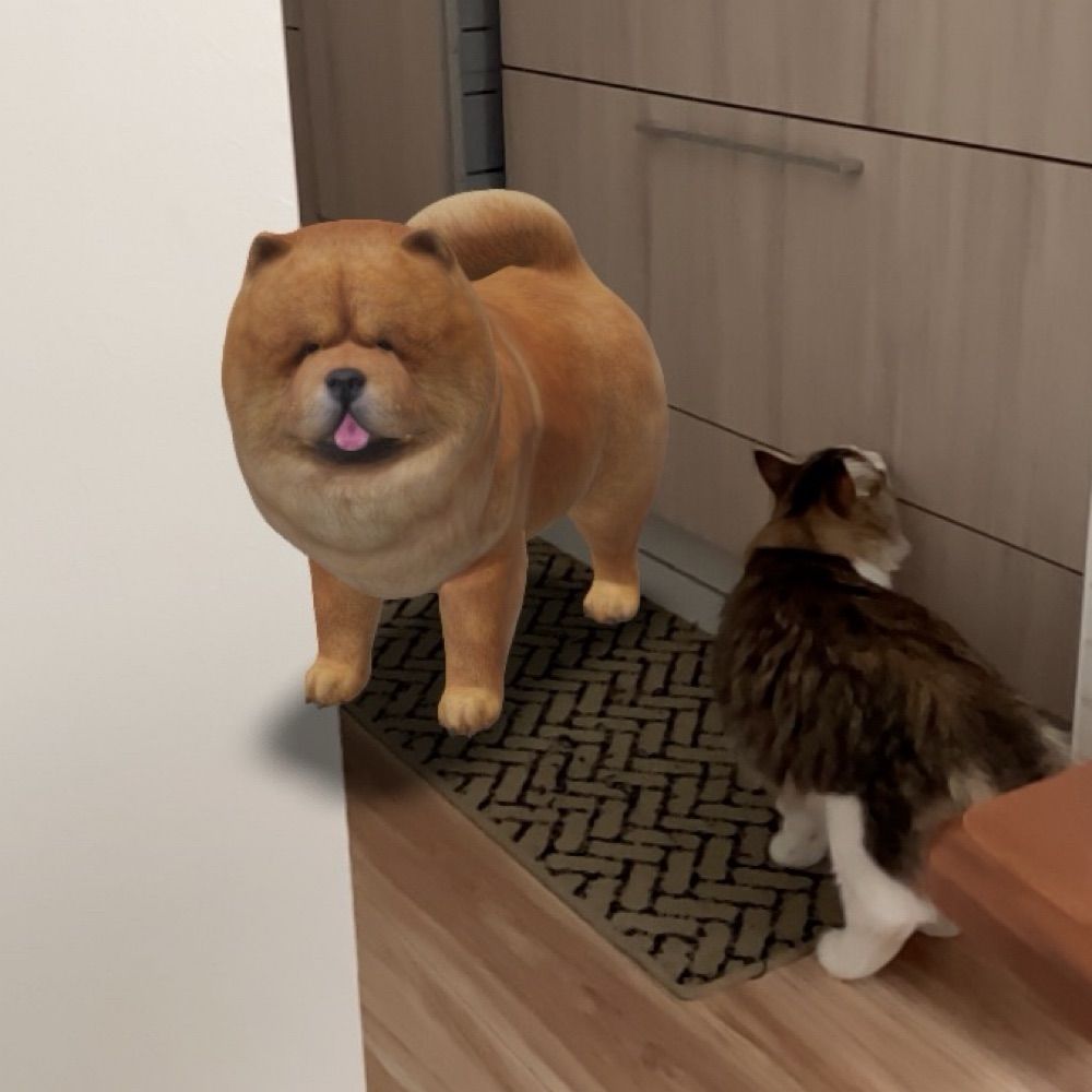 いません