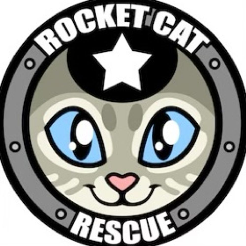 🚀RocketCatRescue🐈