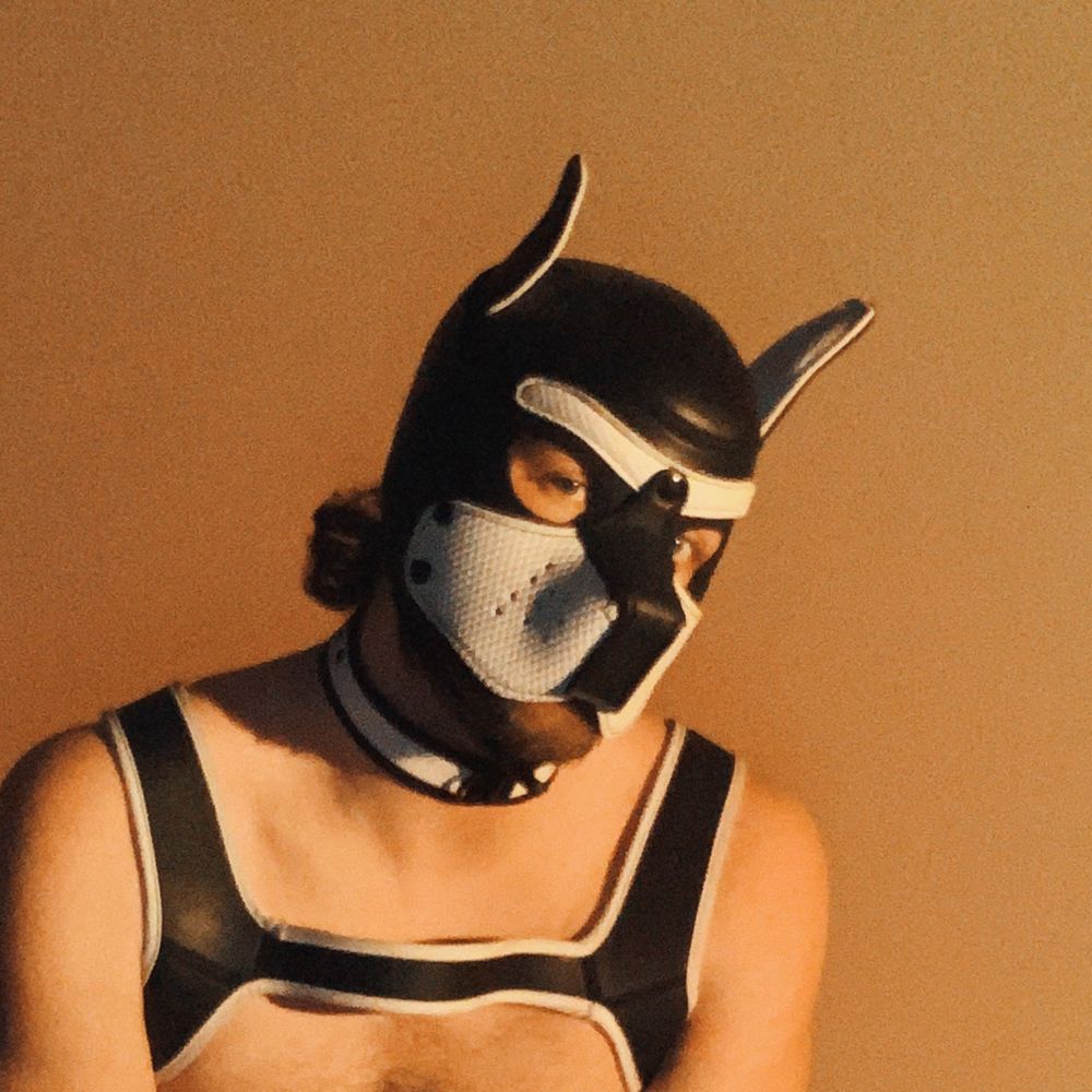 Pup Astro