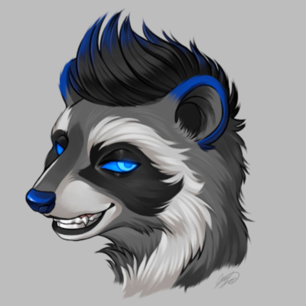 Renkov Racoon's avatar