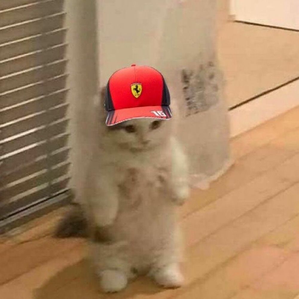 teté 🏎️🏁