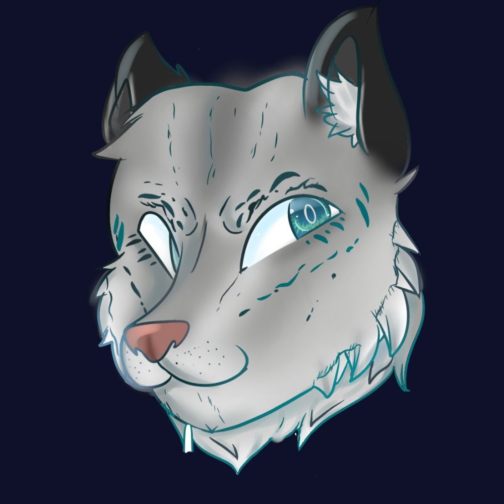 EinSnep