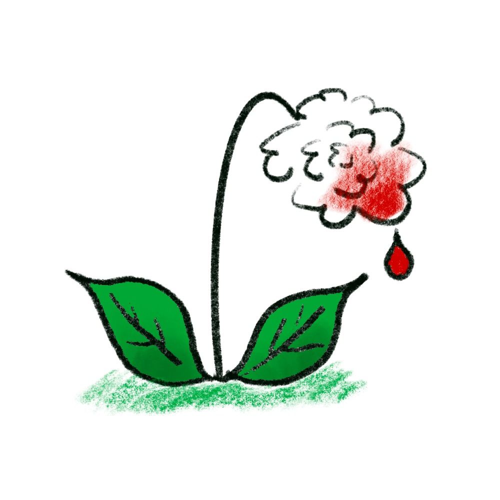 血淚花(혈루화)