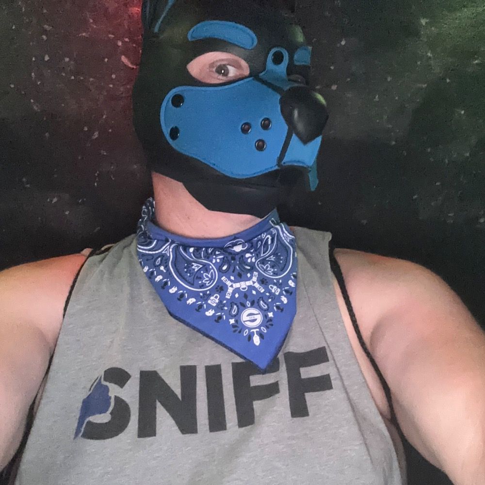 Pup Botox @bfc soon 
