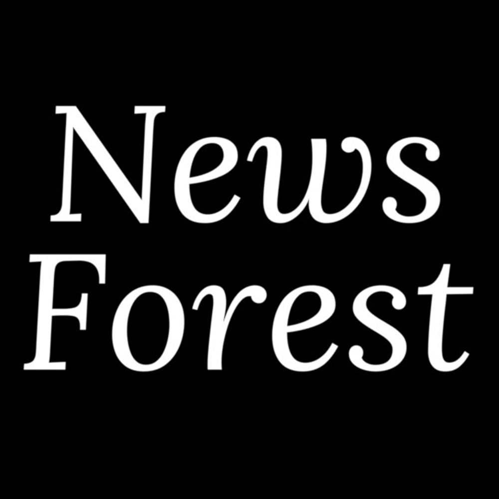 News Forest