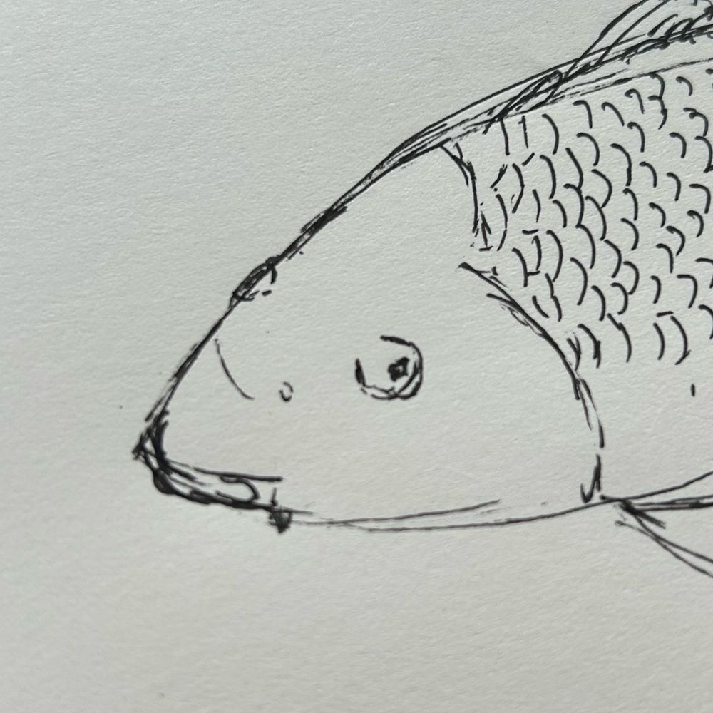 あまがえる