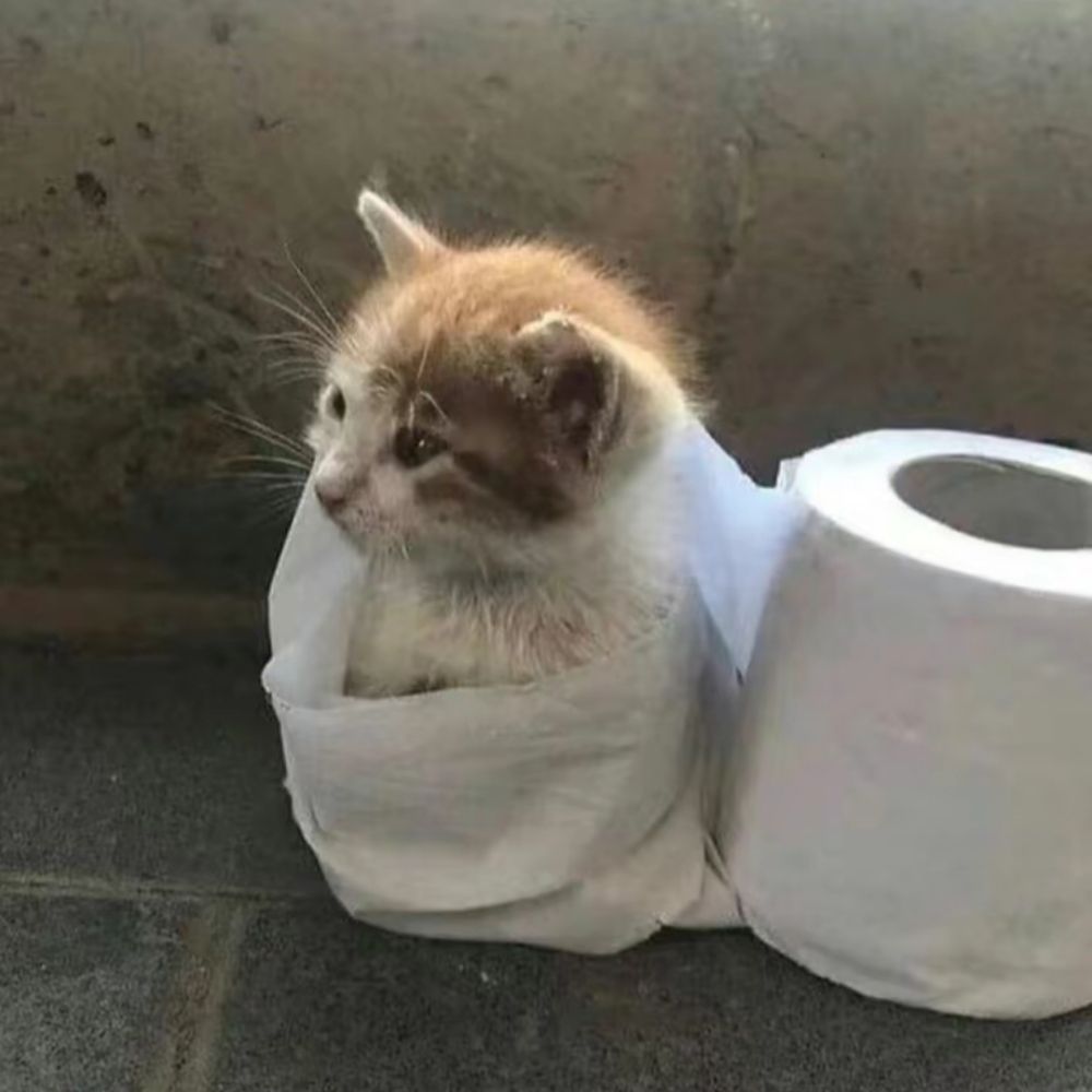 Ale😼
