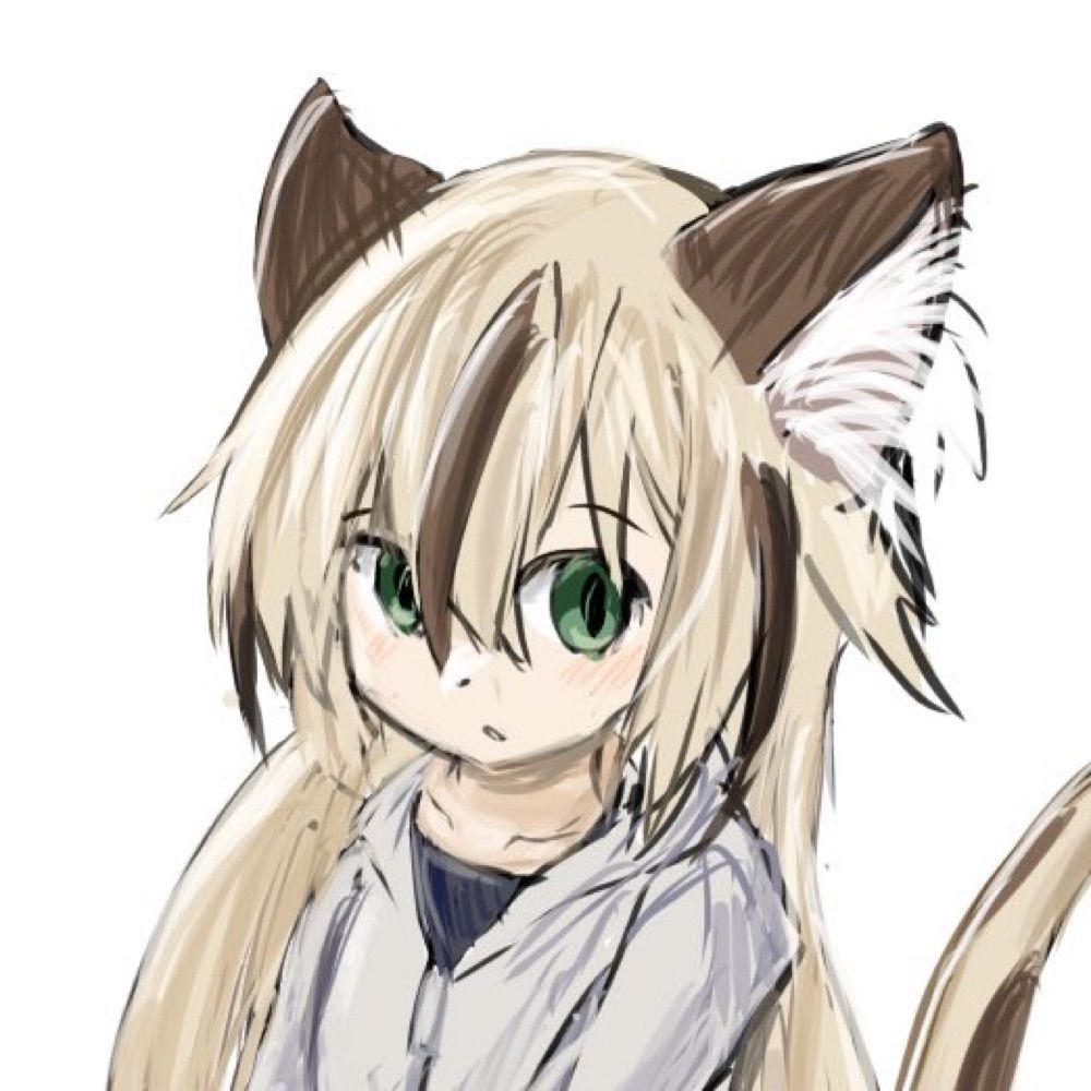 暖猫