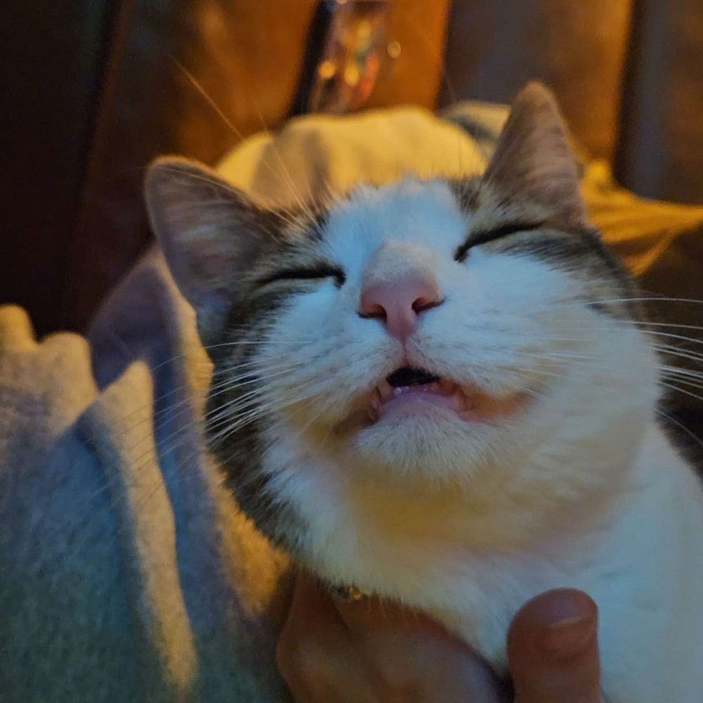 Oli